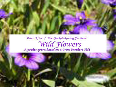 Wild Flowers